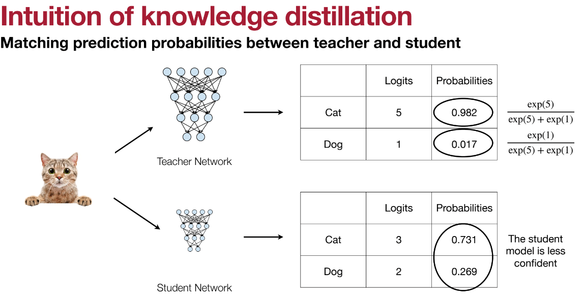 Teacher student logits