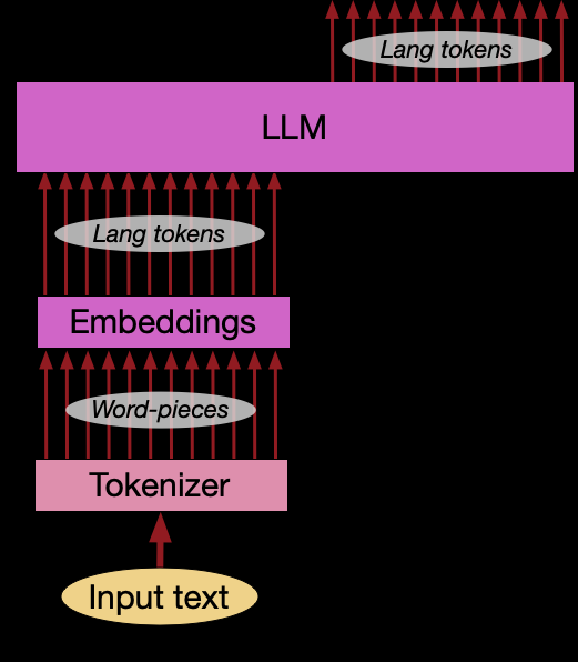 LLM workflow: text → tokens → embeddings