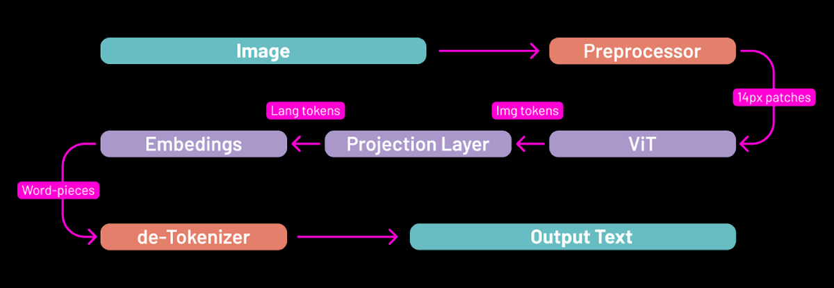 VLM workflow